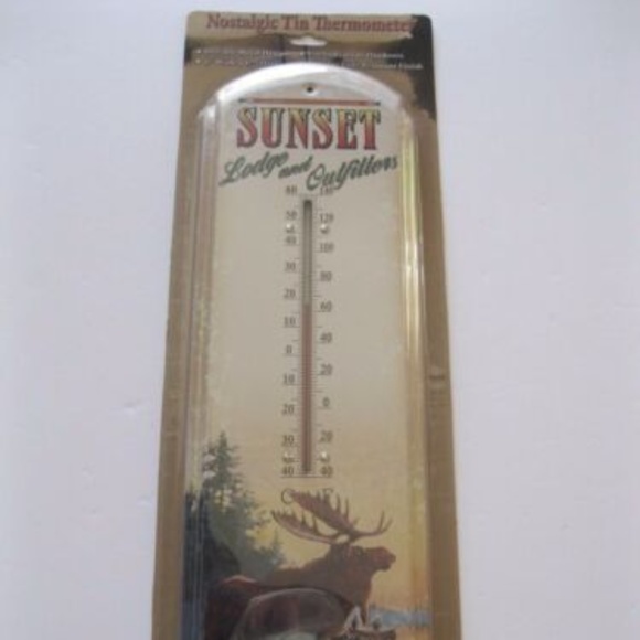 * SPECIAL * Metal Thermometer In/Outdoors 17" NWT - Picture 1 of 4